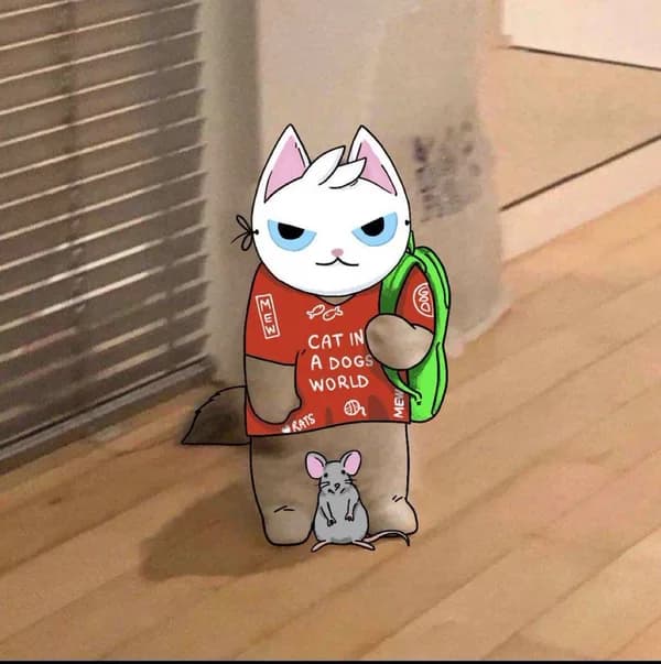 mew cats