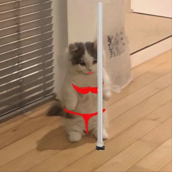 stripper poledance funny