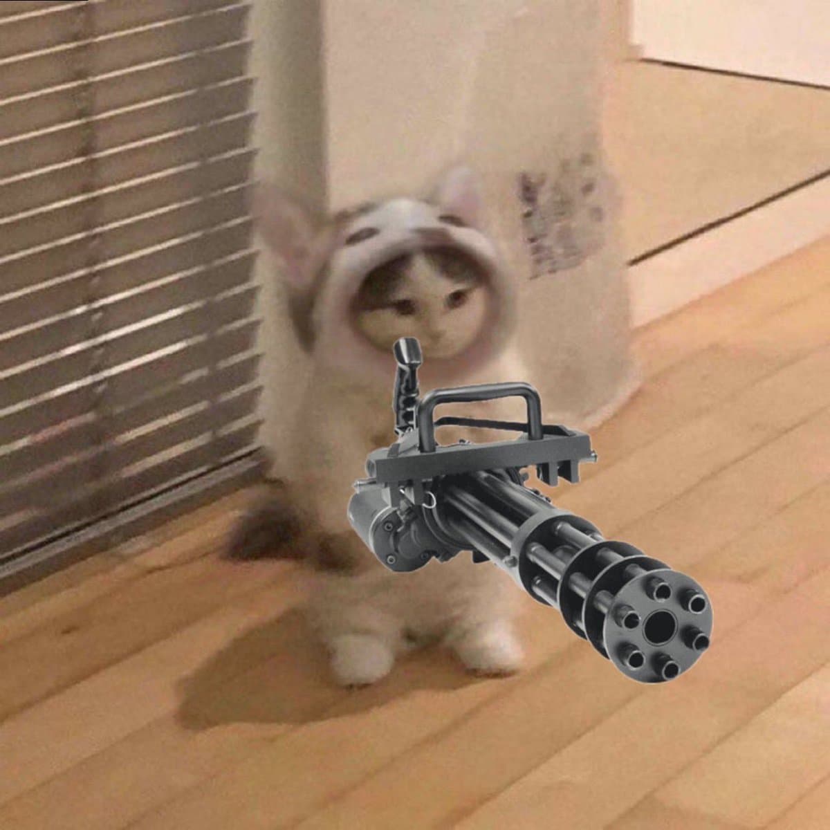 popcat gun weapon