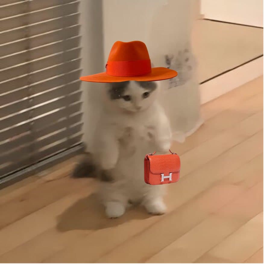 drip hermesconstance luxurygoods brands cute hat