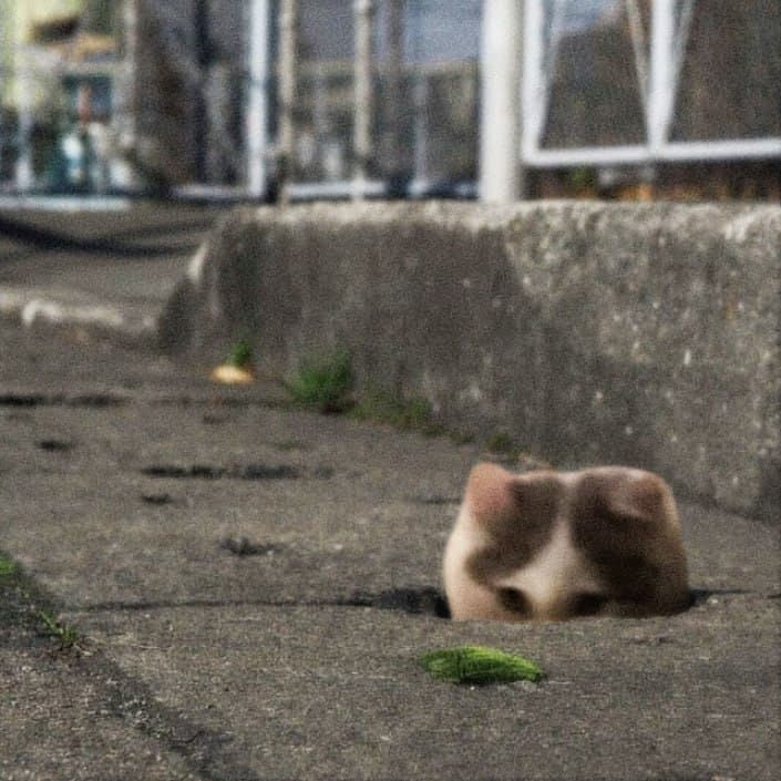 concrete stuck funny road cute funny gmichi