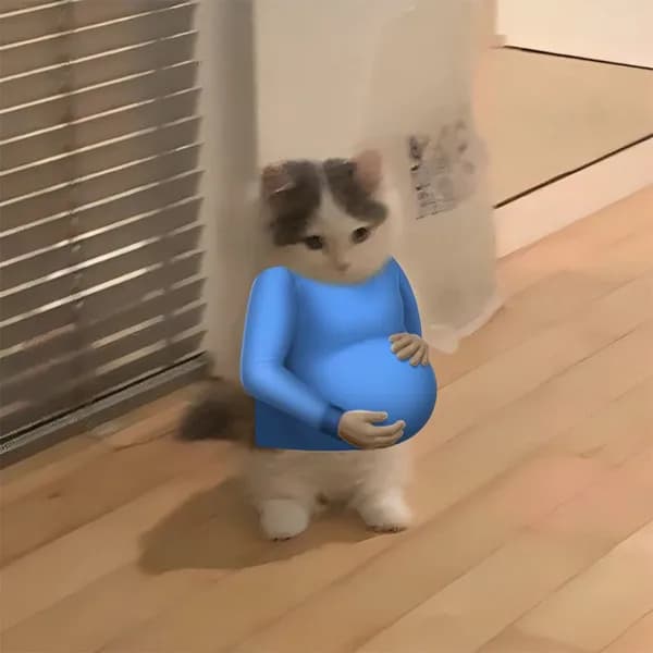 pregnantman funny