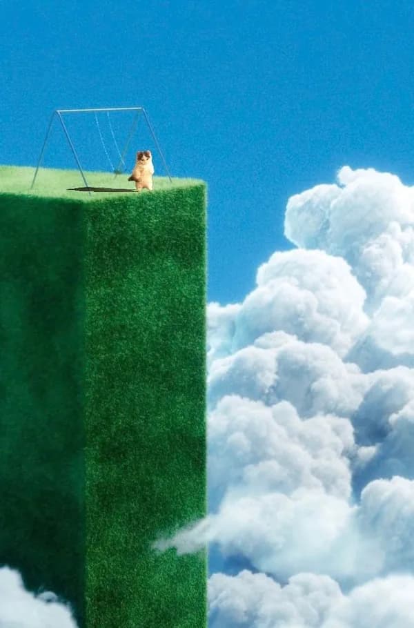 grass green clouds mood vibe