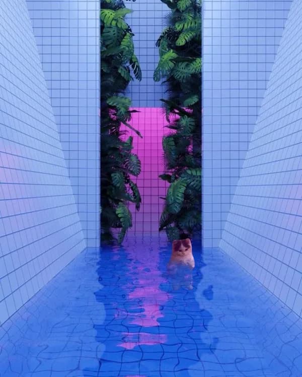 pool swim mood vibe