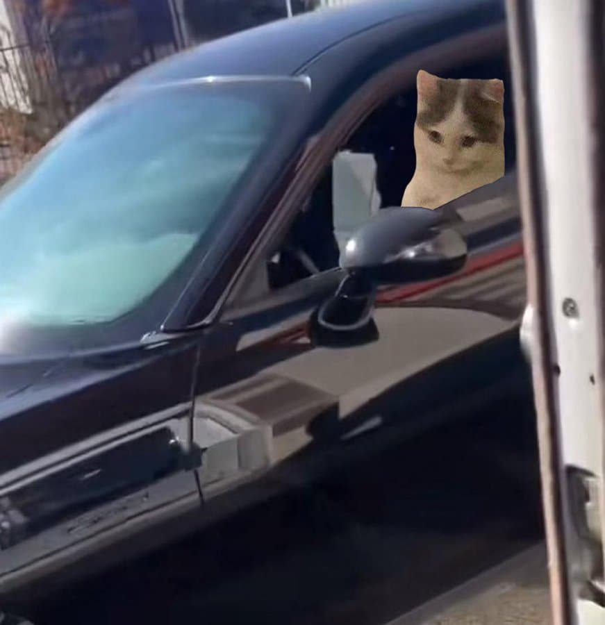 car funny ride drive