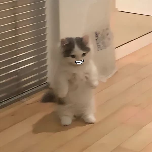 funny laugh lol smile