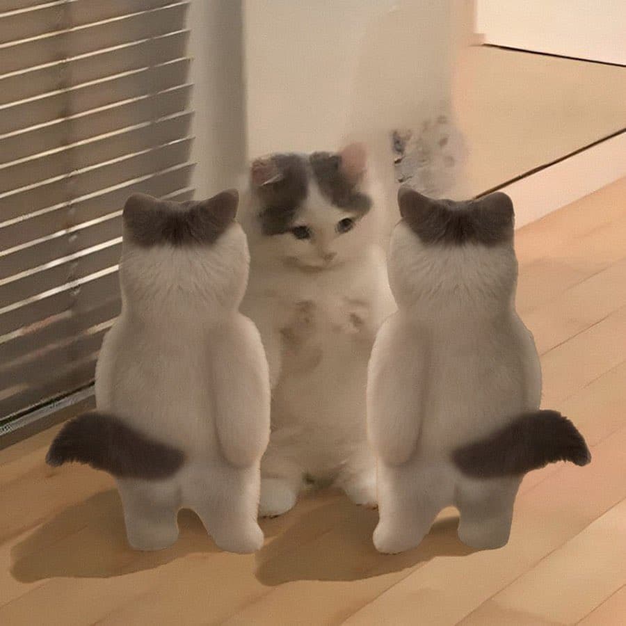 cult gang butt bottom funny group gmichi