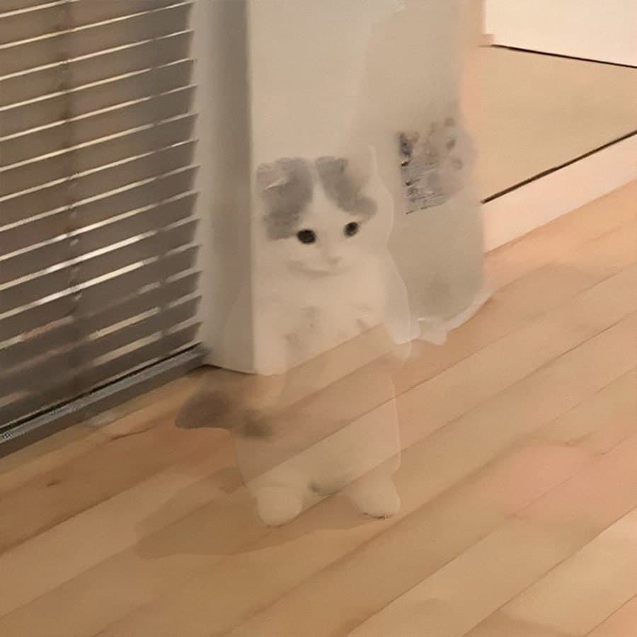 invisible funny cute fade