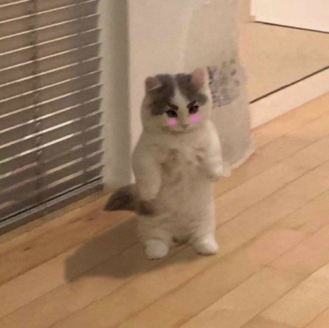 dramaqueen angry mad