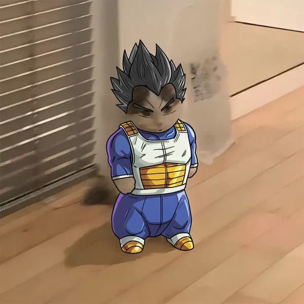 vegeta dbz dragonball anime