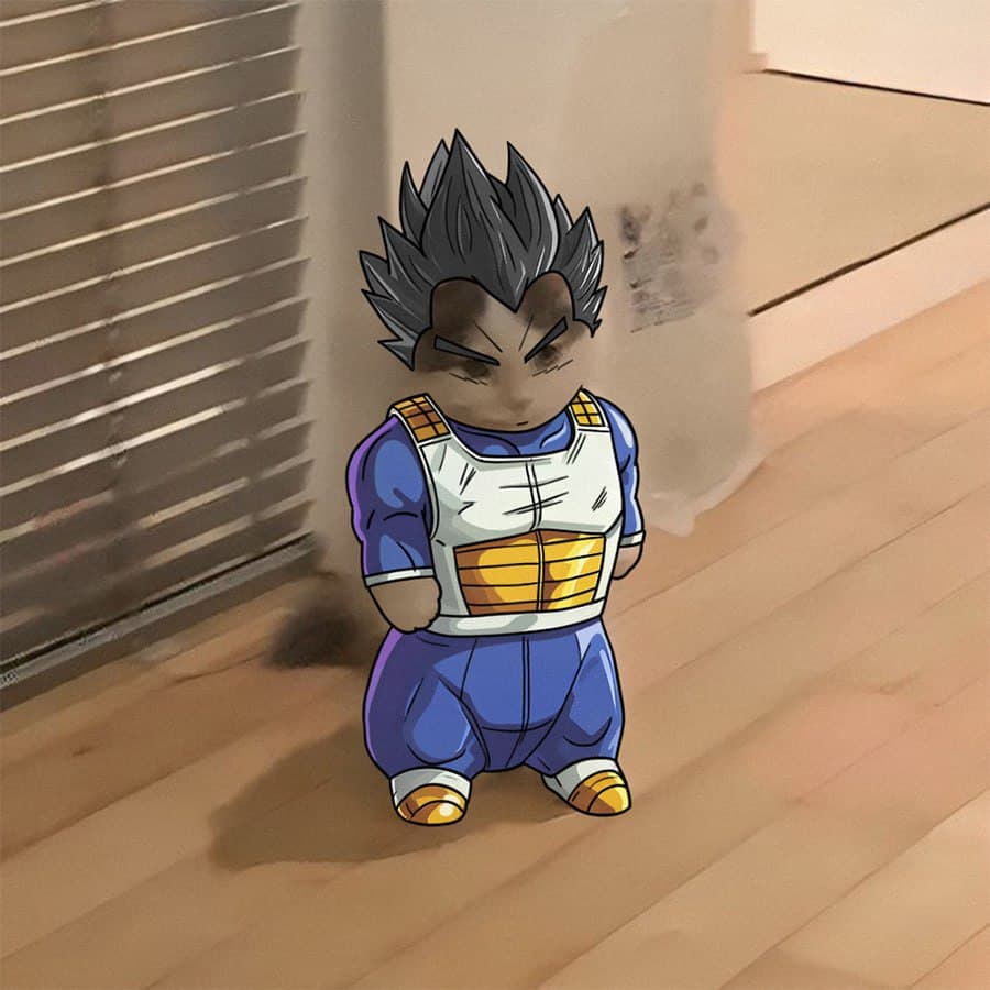 vegeta dbz dragonball anime