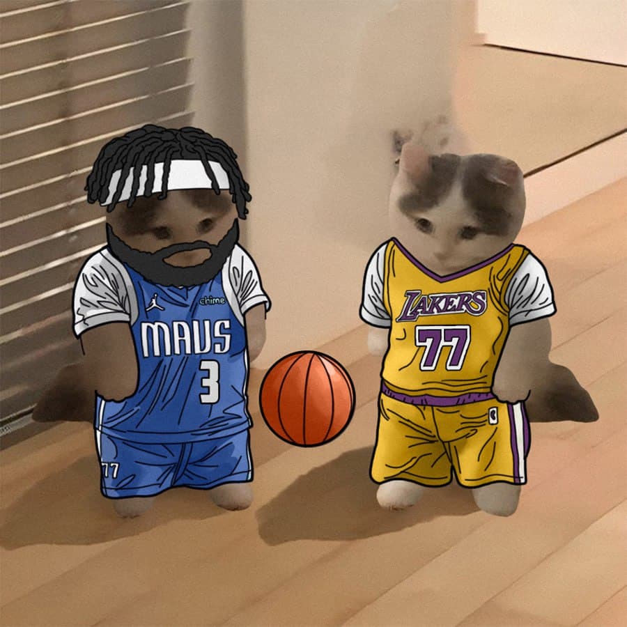 anthonydavis lukadoncic nba basketball