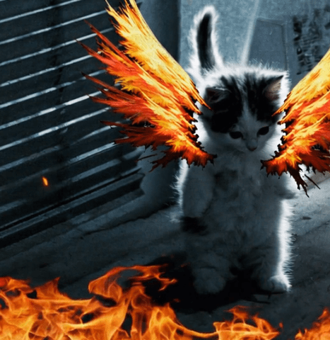 wings angel demon cool fire tail