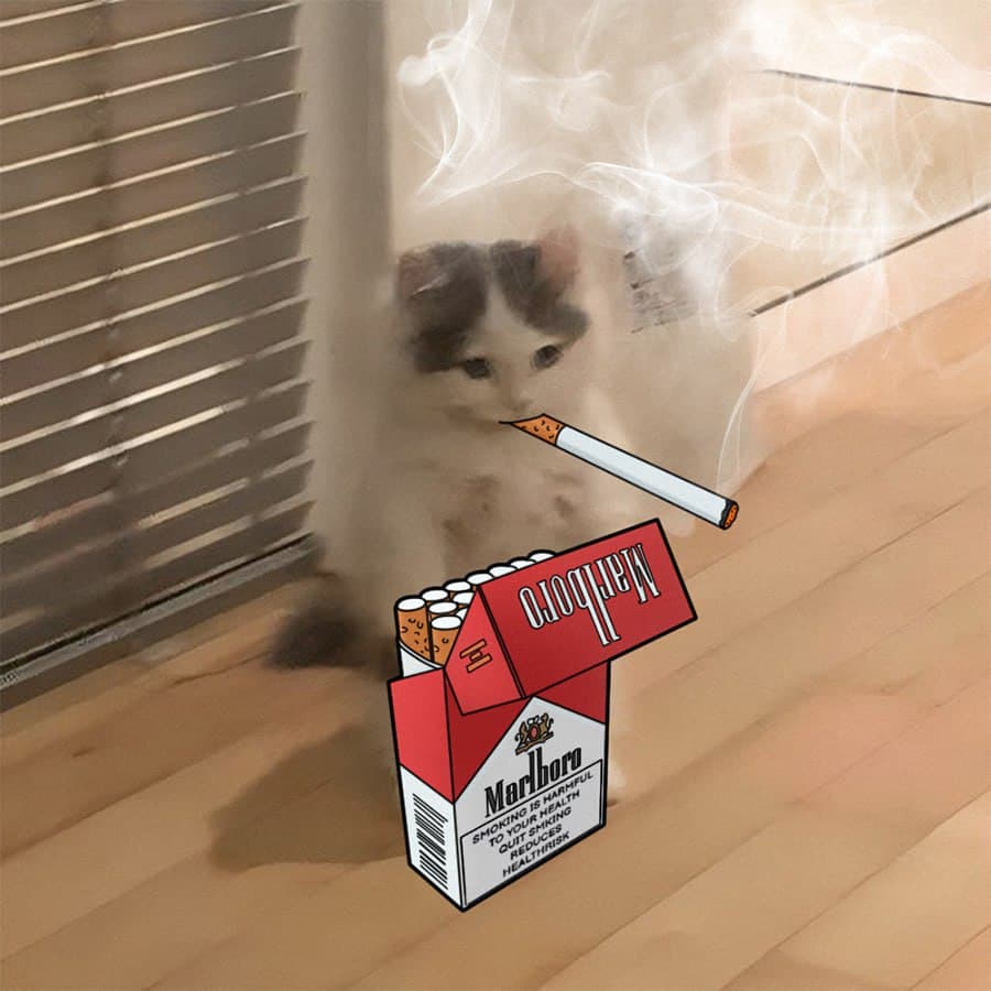 marlbororeds smoke cigarette