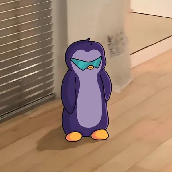 aeyakovenko penguine sunglasses