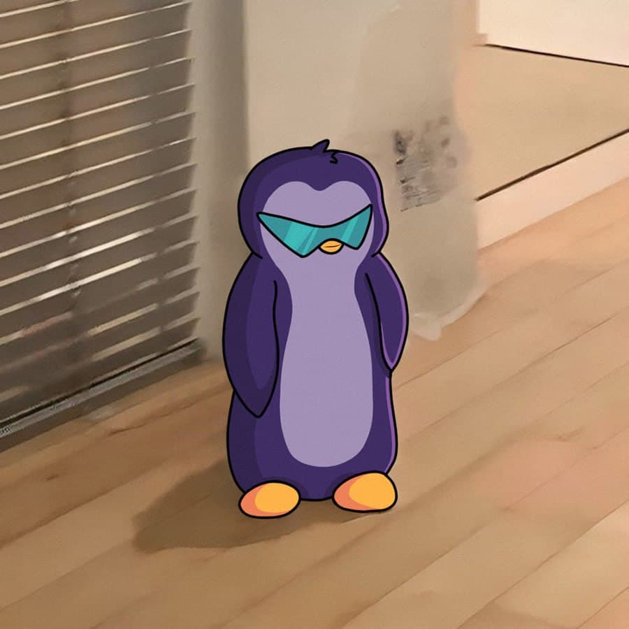 aeyakovenko penguine sunglasses