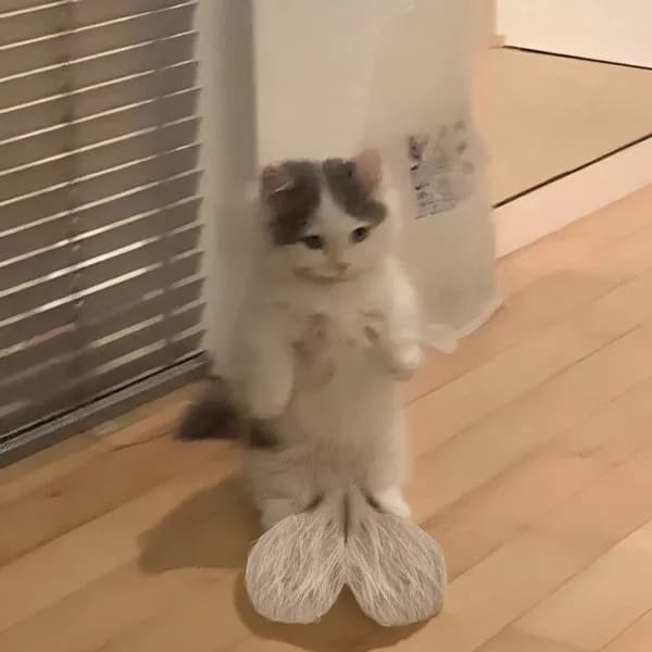 hairyballs nuts