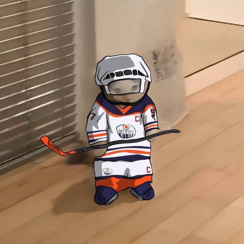 edmonton oilers hockey nhl
