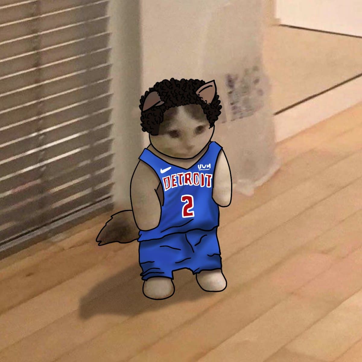 detroitpistons nba basketball cunningham