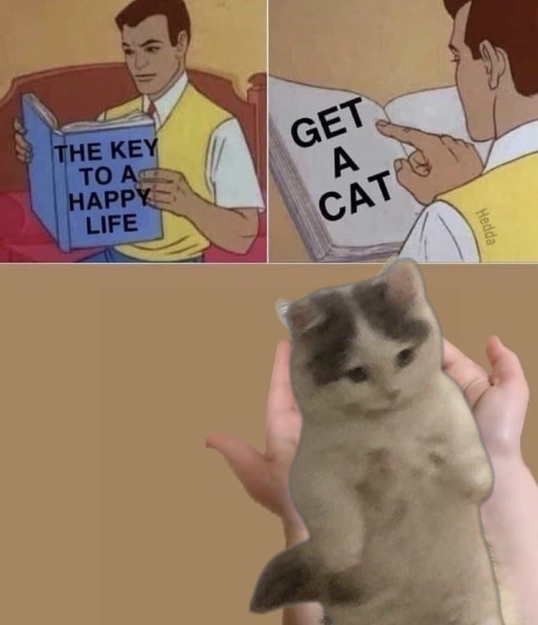 happylife getacat book hold hand