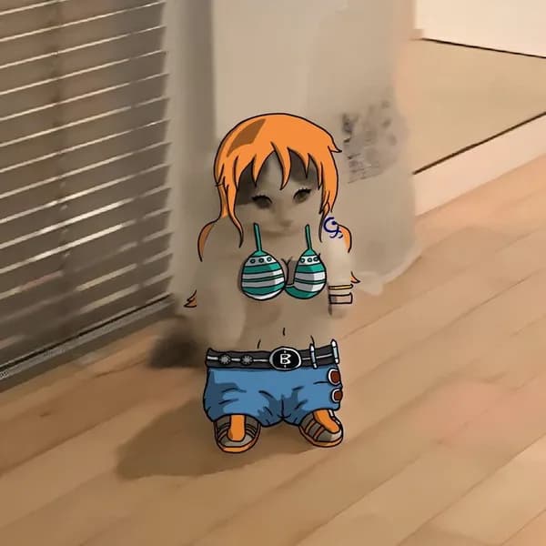 onepiece anime