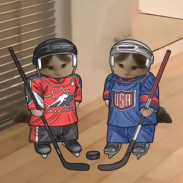 hockey nhl canada usa sports