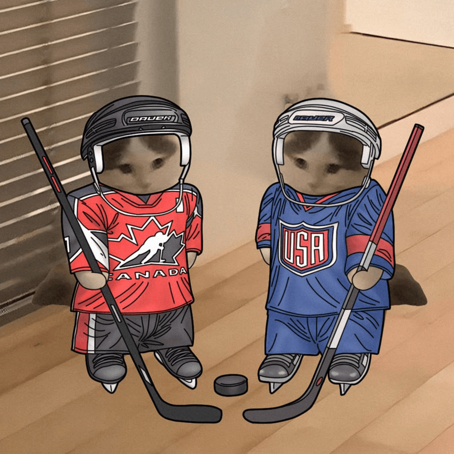 hockey nhl canada usa sports