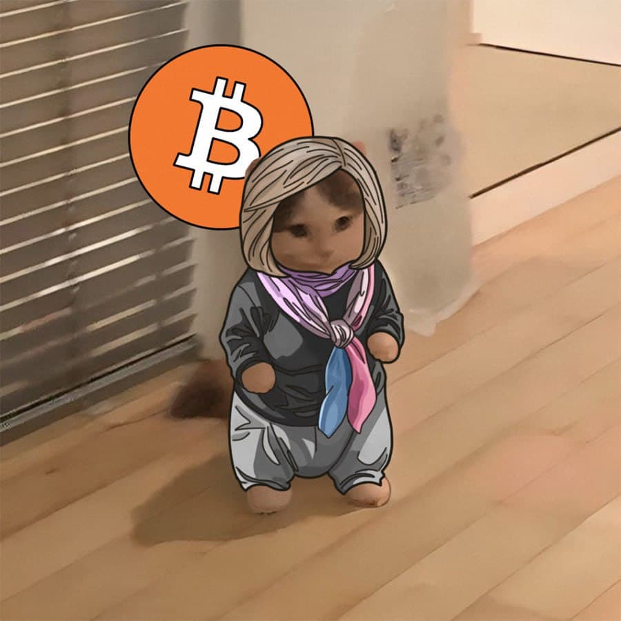 bitcoin btc cynthialummis politics