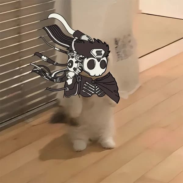 toly nft mask