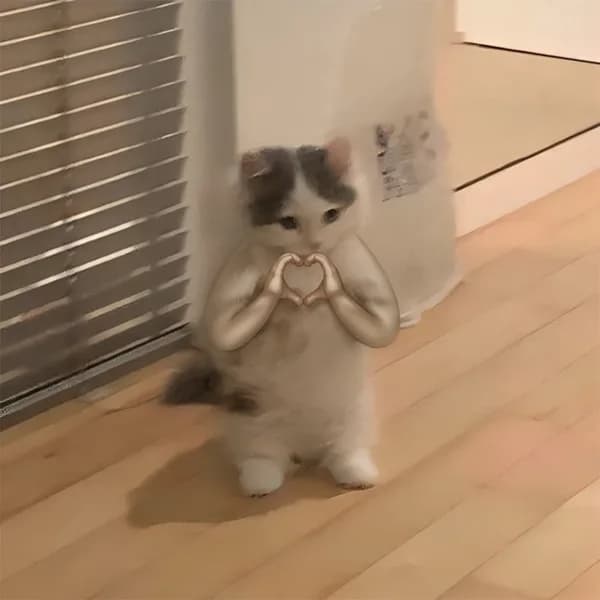 heart love vibes mood care