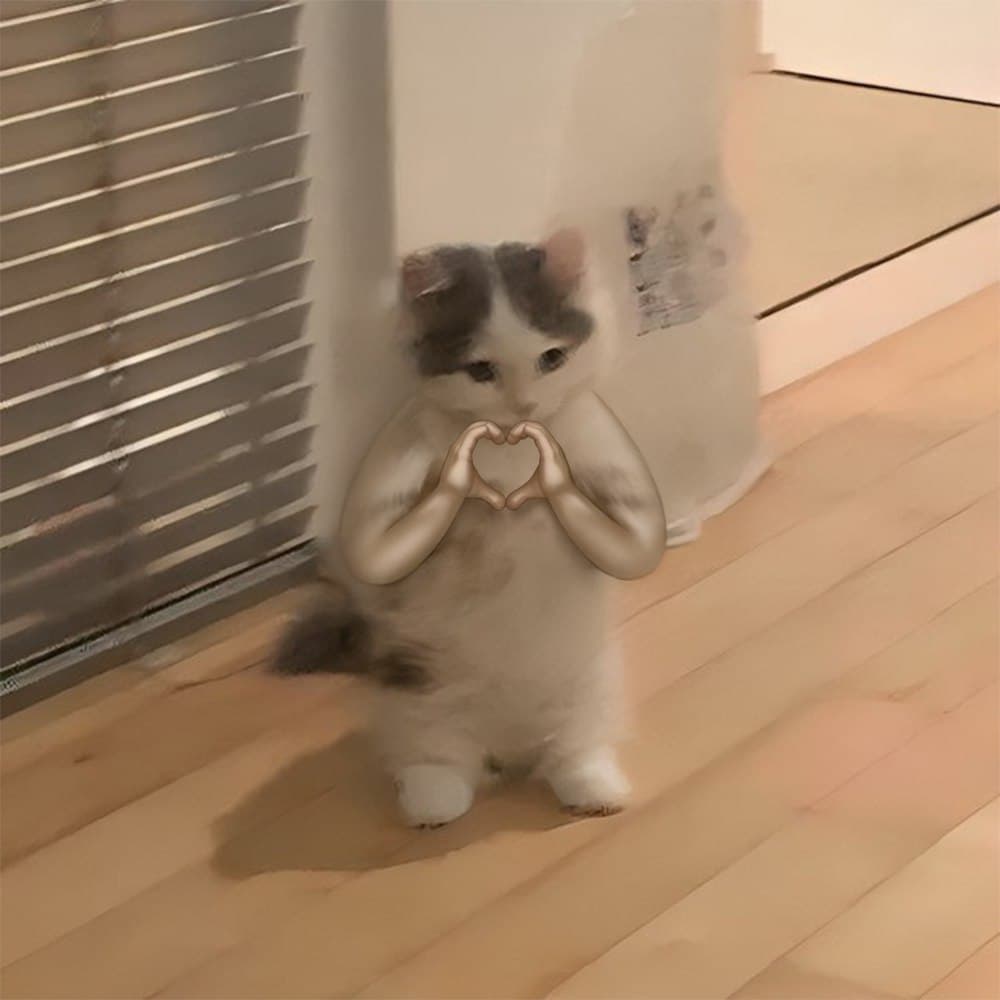 heart love vibes mood care