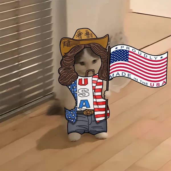 america madeinusa