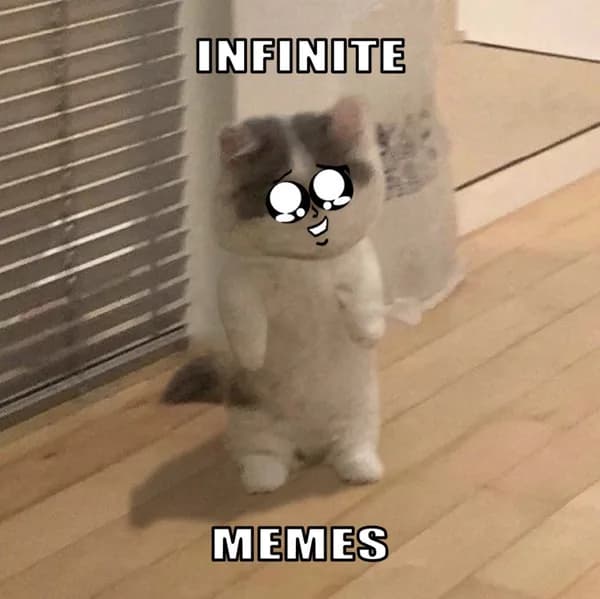 infinite memes