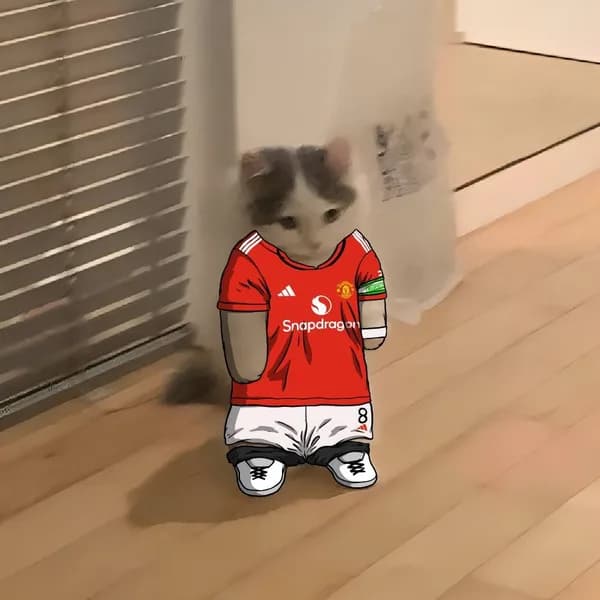manchesterunited soccer football