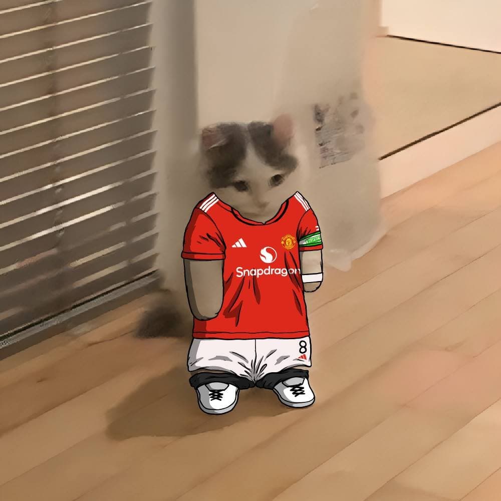 manchesterunited soccer football