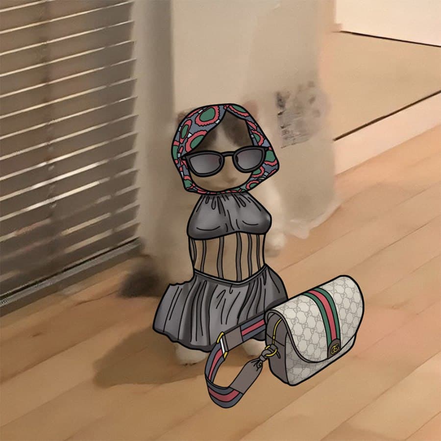 gucci sunglasses drip luxury swag style