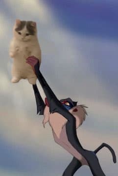 simba lionking movie disney