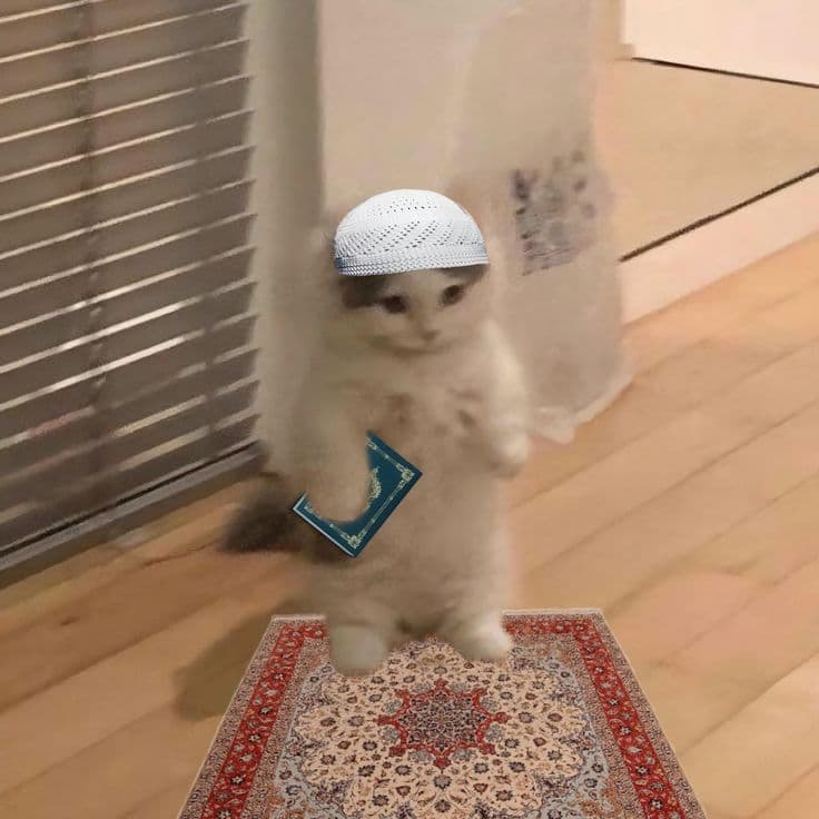habibi prayermat taqiyah hat quran cap inshallah