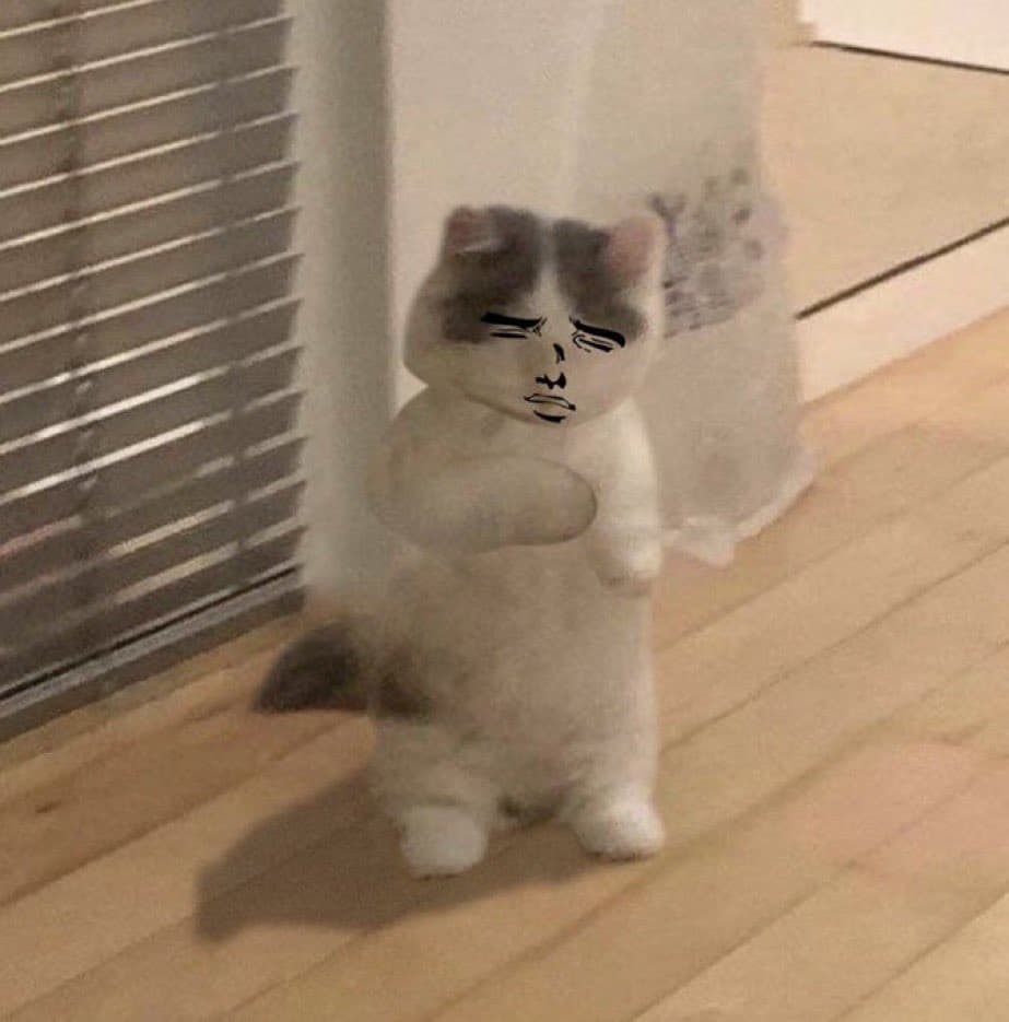 meme face troll darn damn fuck