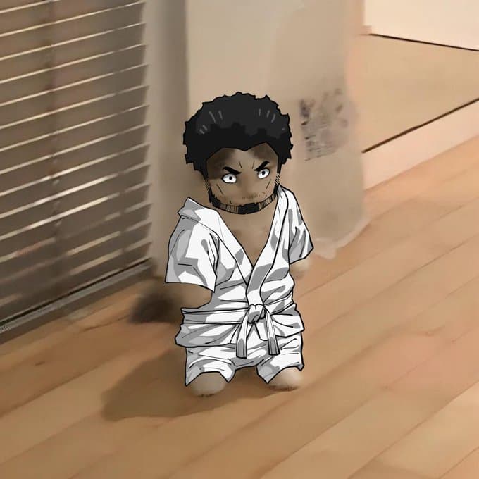 sololeveling anime ma dongwook