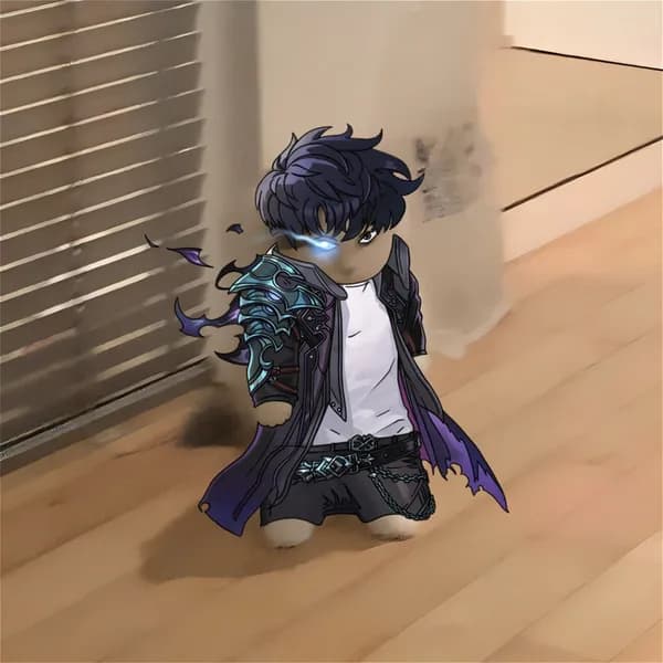 sololeveling anime sungjinwoo
