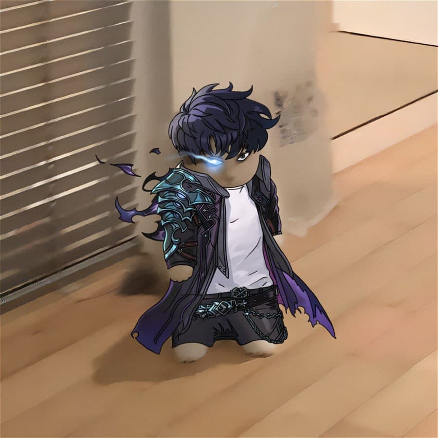 sololeveling anime sungjinwoo