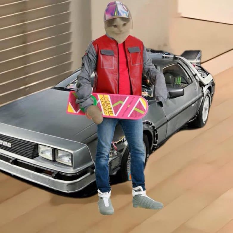 biftannen almanac backtothefuture