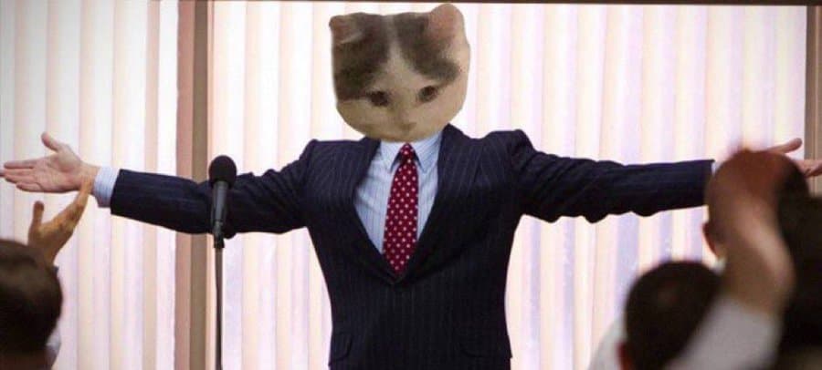 wolfofwallstreet notleaving