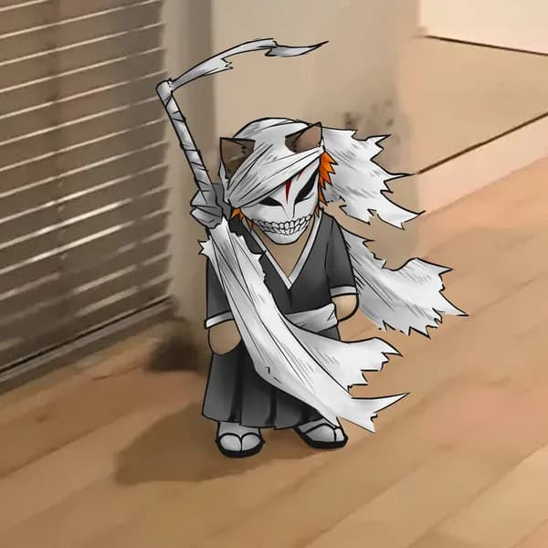 ichigo bleach anime