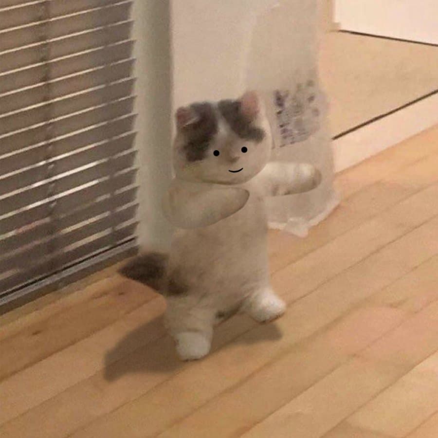 funny cute walk dance