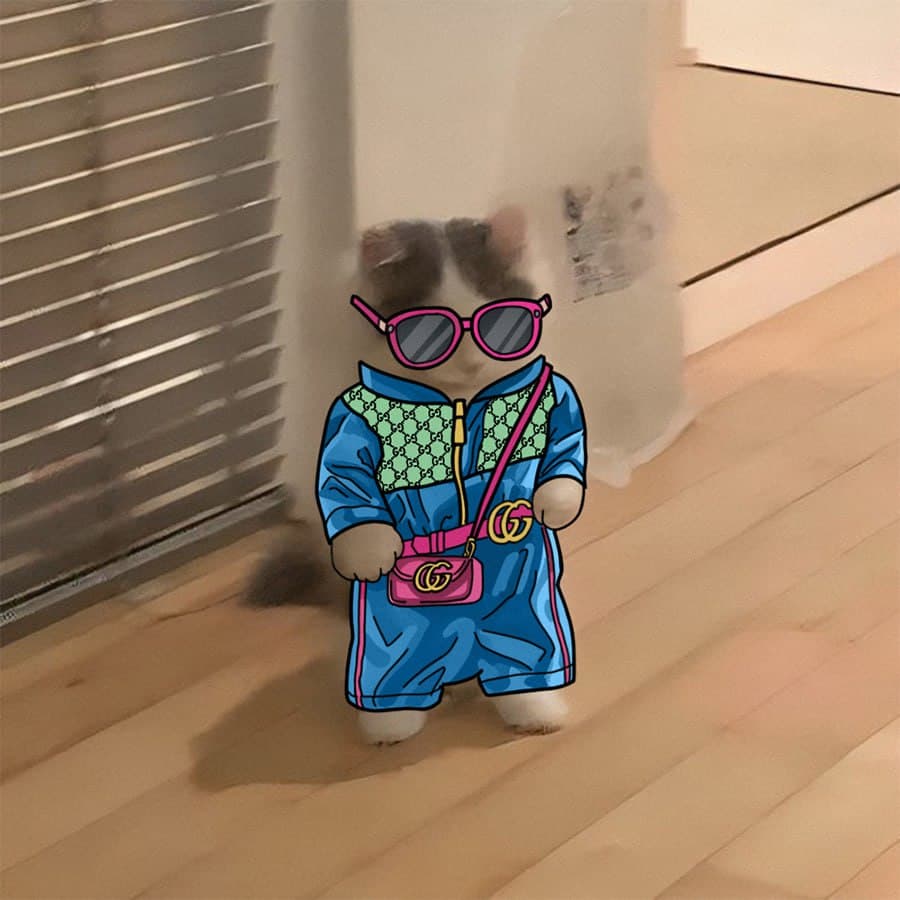 gucci drip swag sunglasses luxury fashion