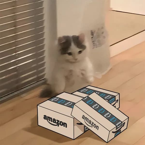 amazon delivery box