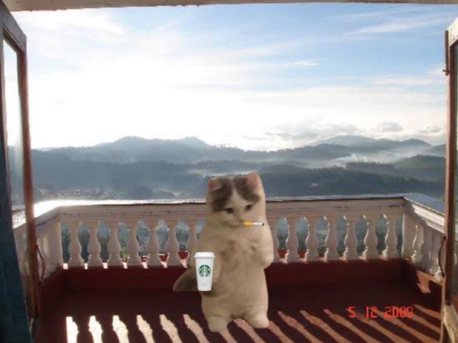 starbucks coffee smoke cigarette vibe gmichi