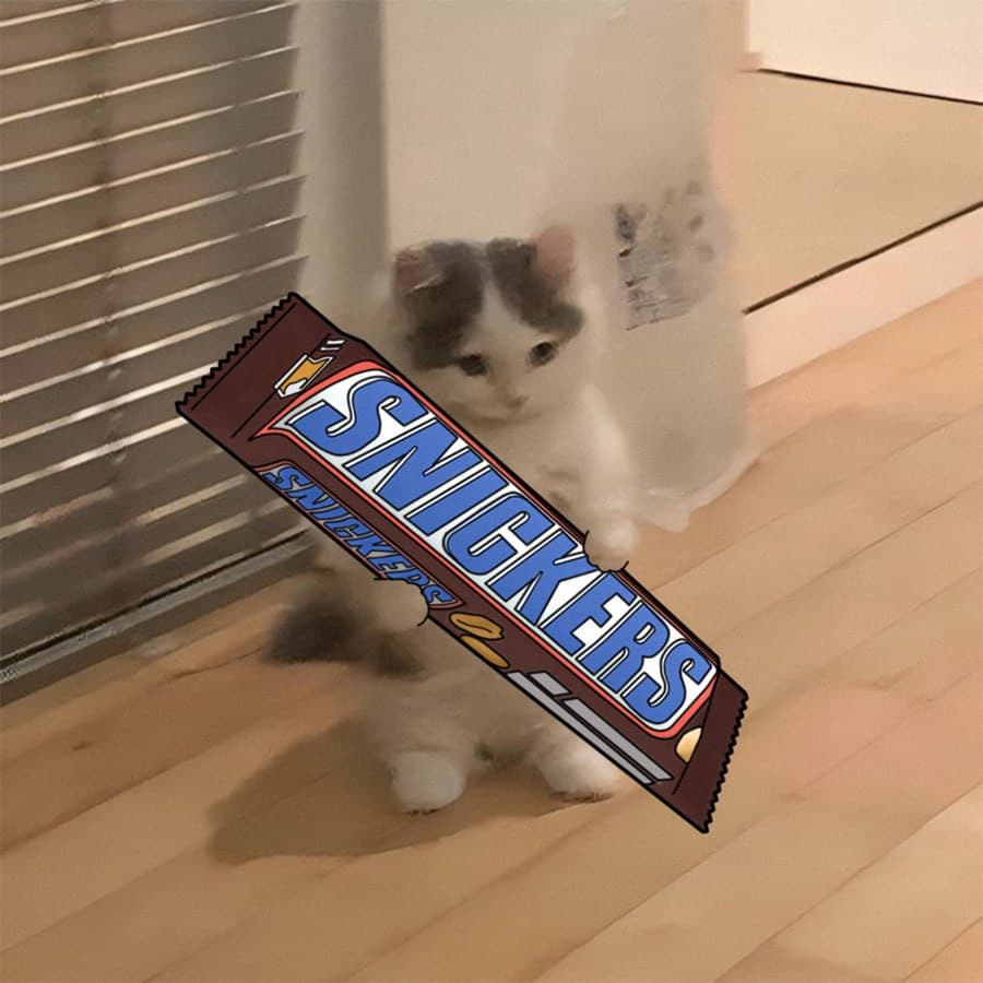 snickers candy chocolate